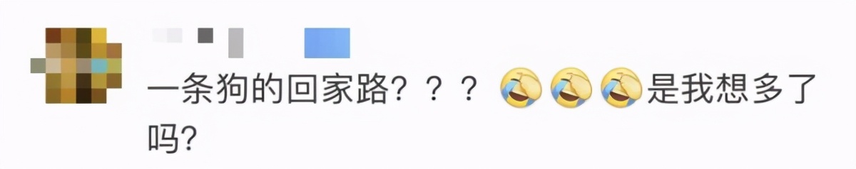 CCTV6ղšһĻؼ·ˣ𣿡