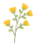 ʮվح½ںũѵɹٰ