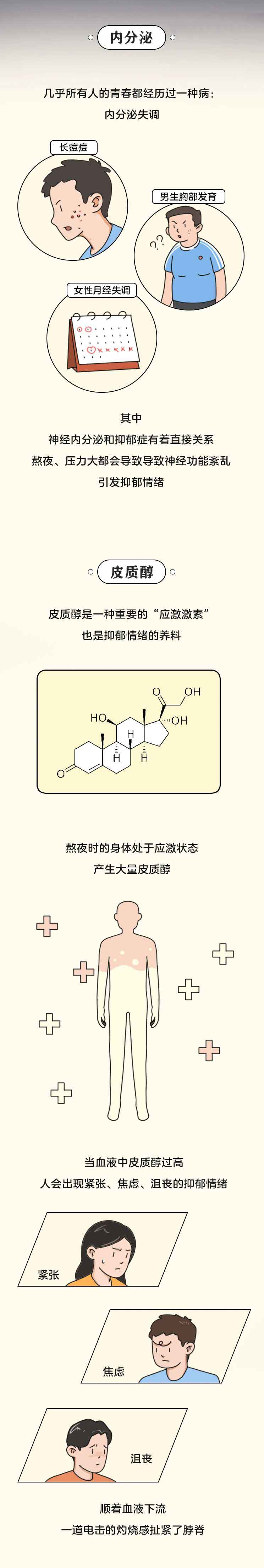 “别熬夜，真的会死！”晚睡的危害，不只是第二天没精神（漫画）