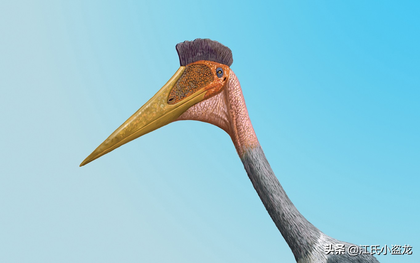 古生物學家揭開超級翼龍脖子中的奧秘