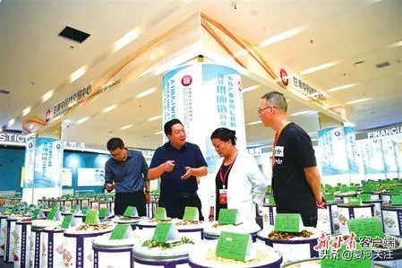 走向世界的“中国药都”——定西中医药产业实现全产业链发展纪实