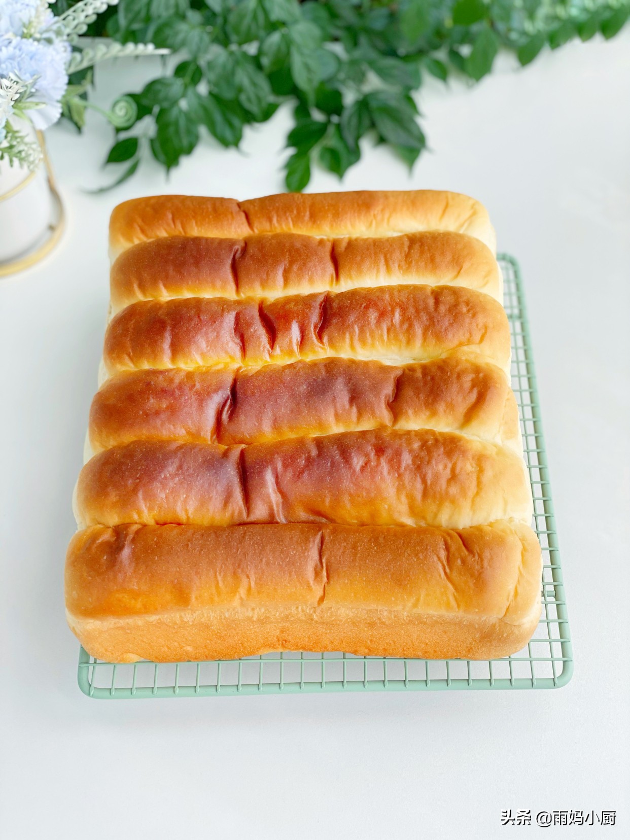 做过的面包里，最松软的就是奶排包，组织细腻又拉丝奶香味十足