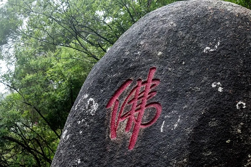 ��ͷס�ڵ��£������������д�����