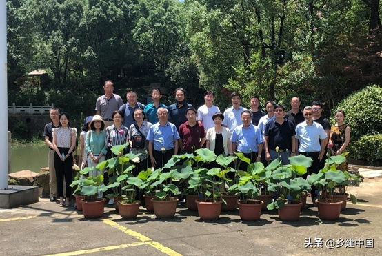 江阴市003号民宿——朝阳山庄：定山竹海里的康美基地