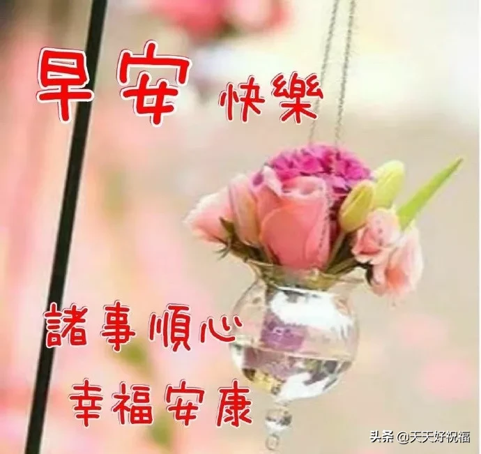 朋友圈上午好问候语（温馨且美好的问候语） 第7张