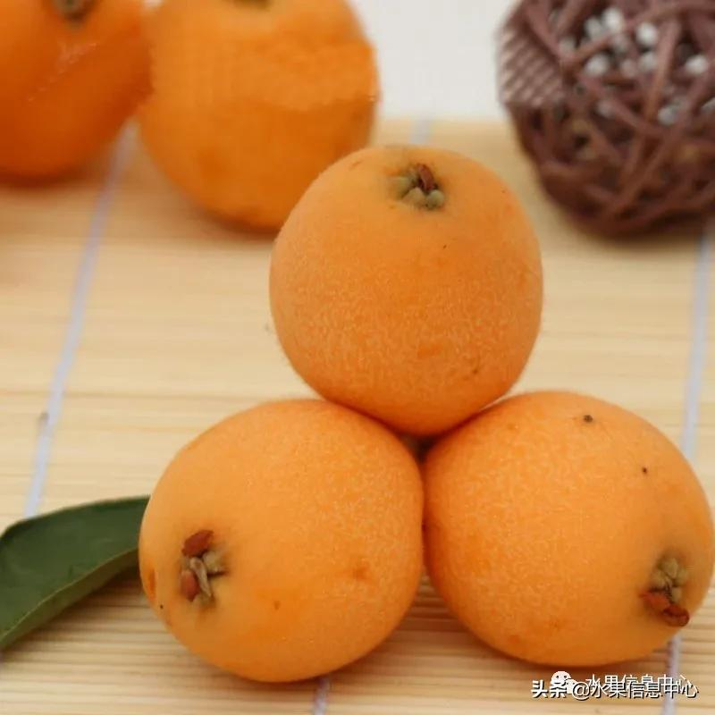 中國(guó)到底哪里的枇杷最好吃?