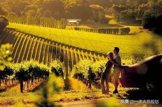田园景观设计应注重些什么？