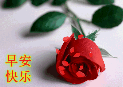 问候|情人节早安问候表情微信图片大全 清晨问候图片带字带祝福语