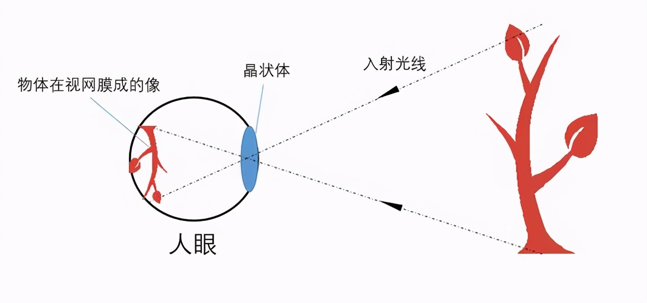時光倒流？還是引力失效？下落的雨滴，為何能向上逆流
