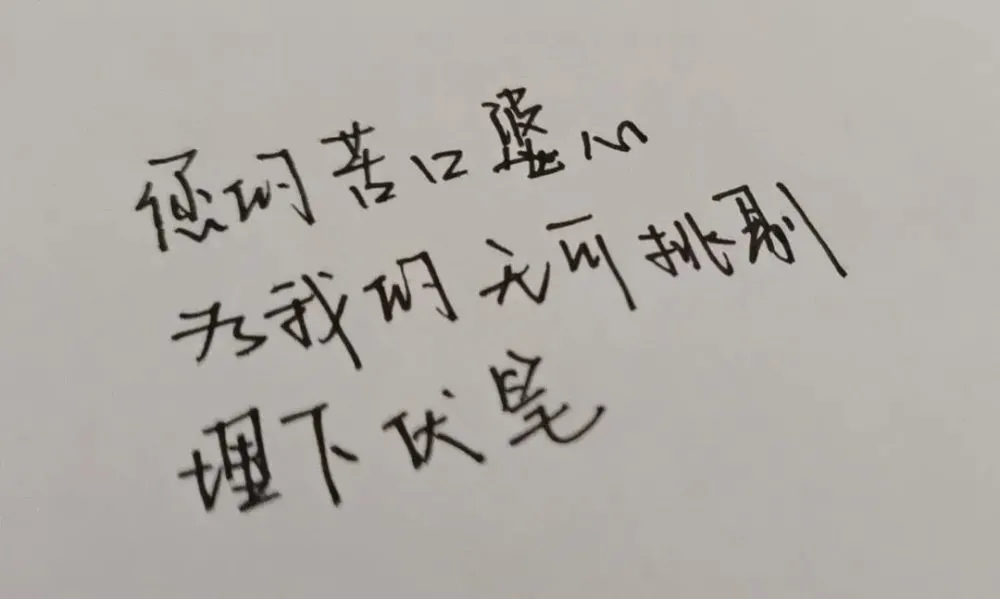 大河报汽车网