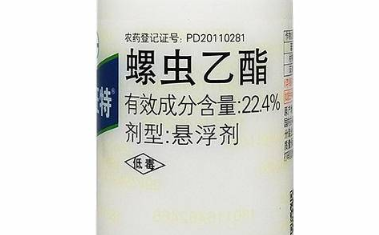 百香果蓟马活跃爆发，常用的化学药剂有哪些？各有哪些优缺点呢？