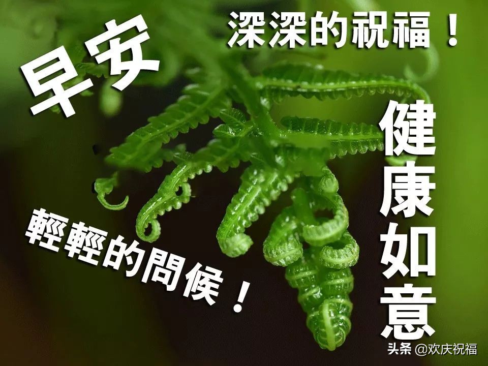 清晨早上好漂亮文字图片问候祝福语，早安温馨祝福短信图片