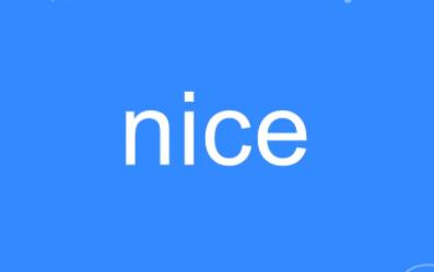 网络语“nice”什么意思？