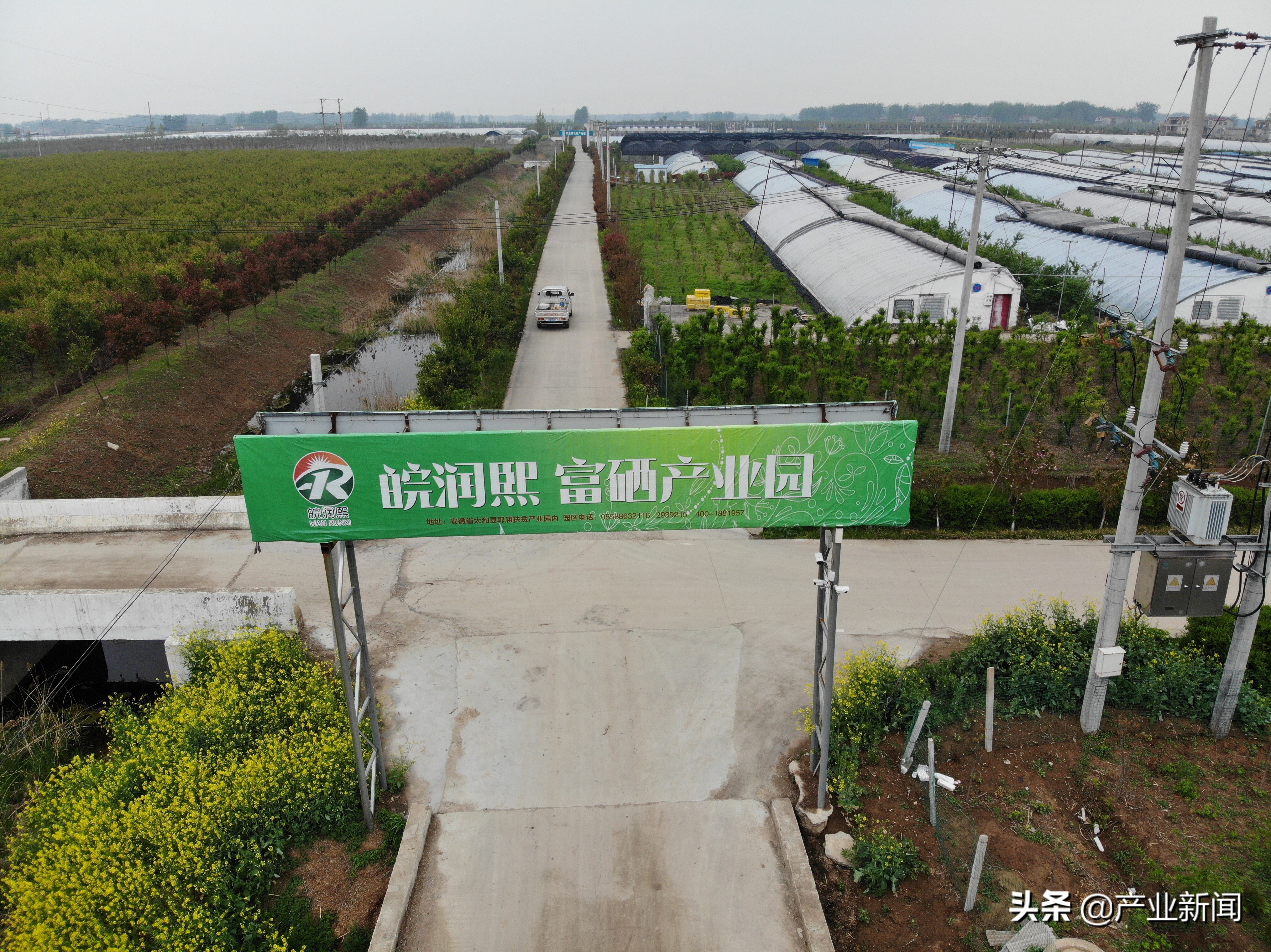 （安徽省）富硒稻米发展可行性报告——种植特