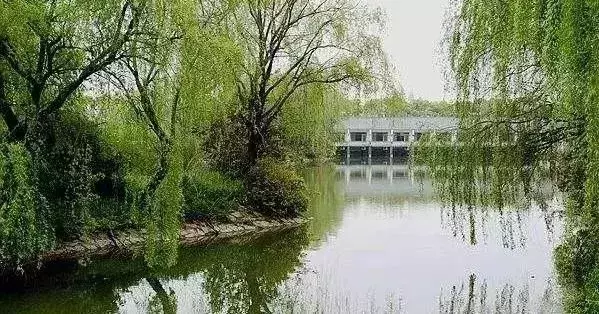 观光休闲农旅策划5大基本方法、7种模式、25种类型