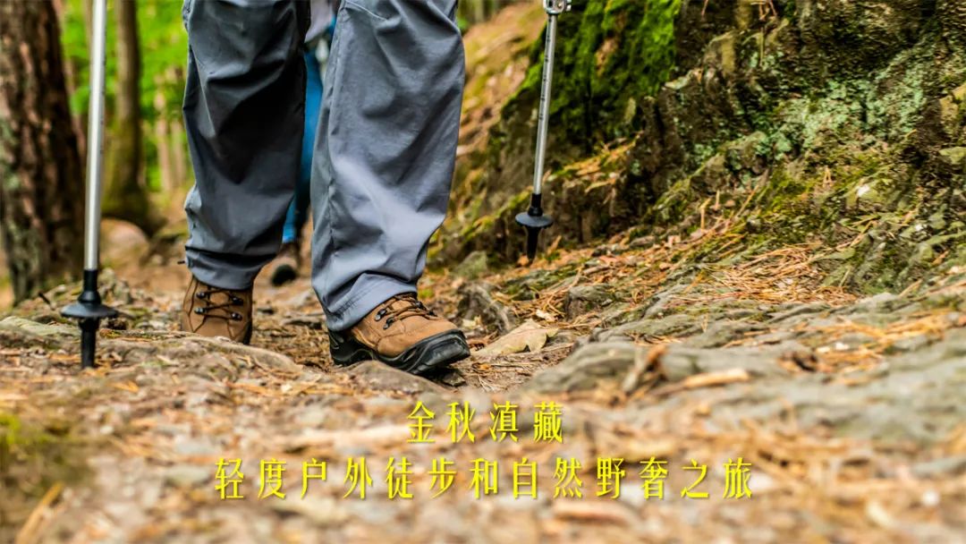 松赞不只豪华酒店！野去x松赞自然探索三大特色行程隆重推出