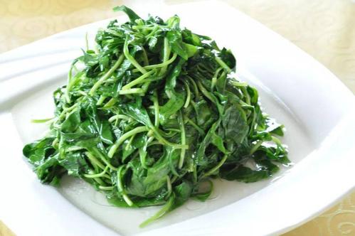 春分吃芽，5種�春芽�可多吃，2種�毒芽�不能吃，健康最重要