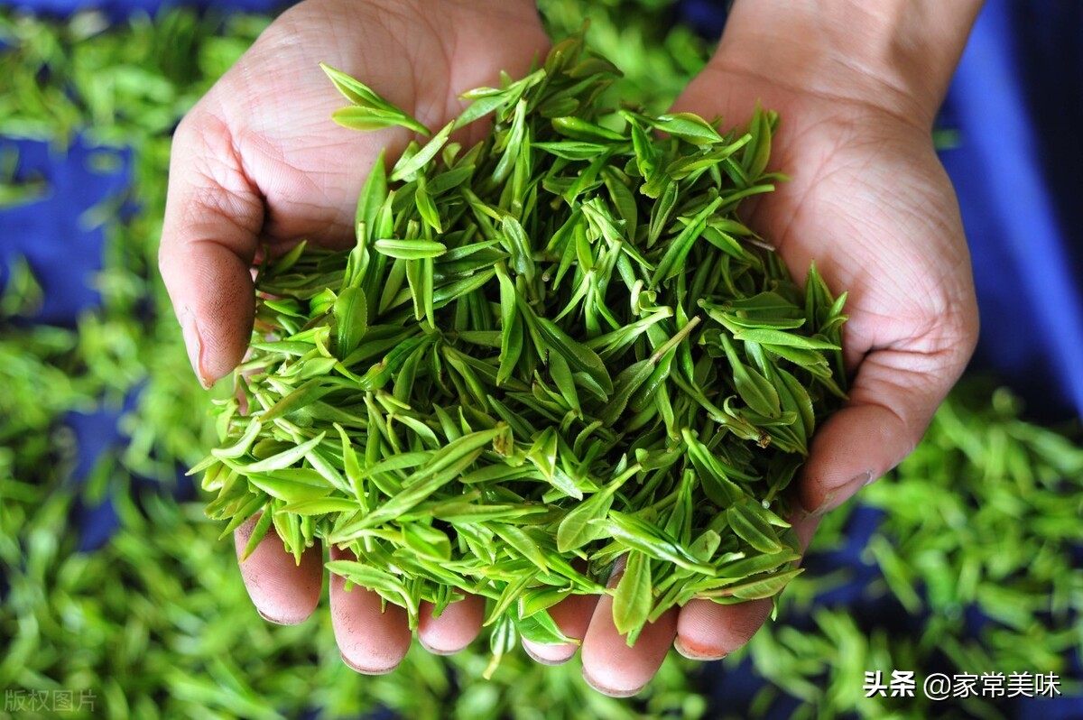 中國五大名茶是哪些？你喝過哪幾種？沒想到茶葉之間也要分個高低
