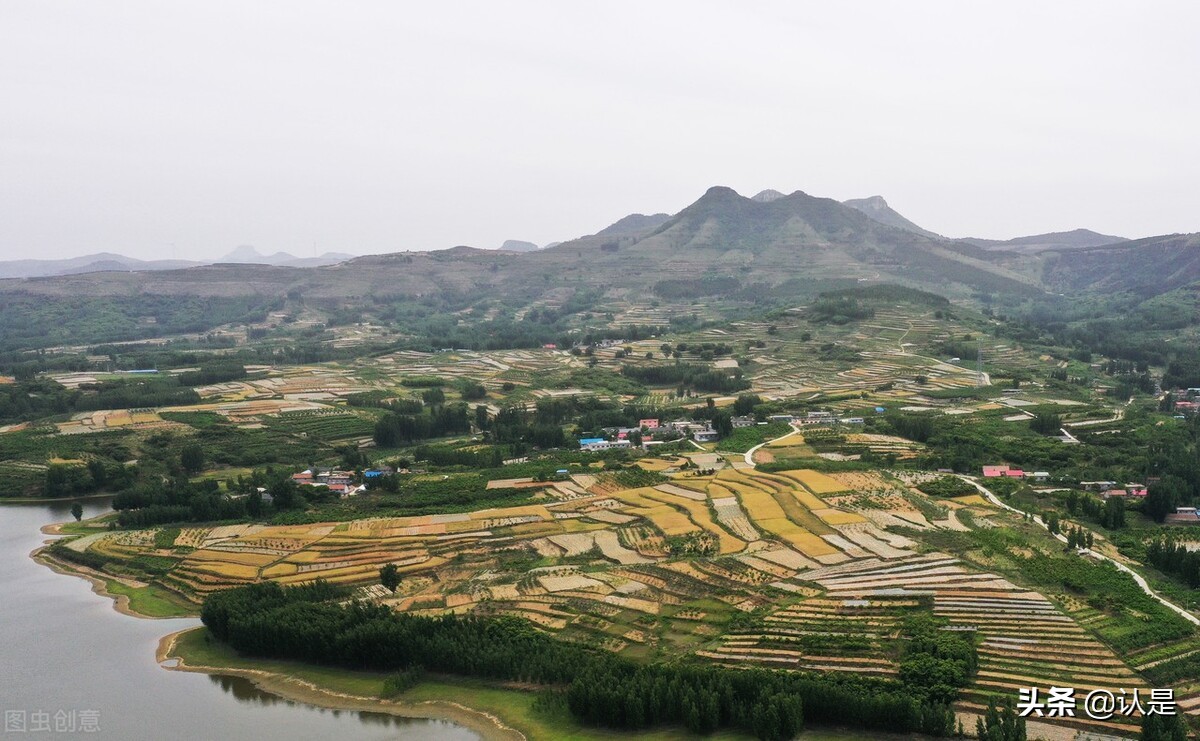 2021阿里农产品电商报告