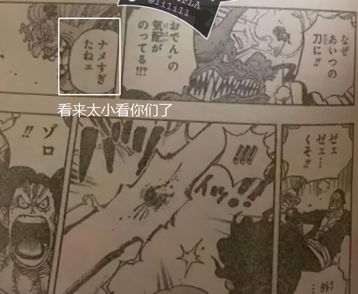 海賊王1002：大媽被超新星嚇壞！不敢再小看，一話擊暈倆劍士