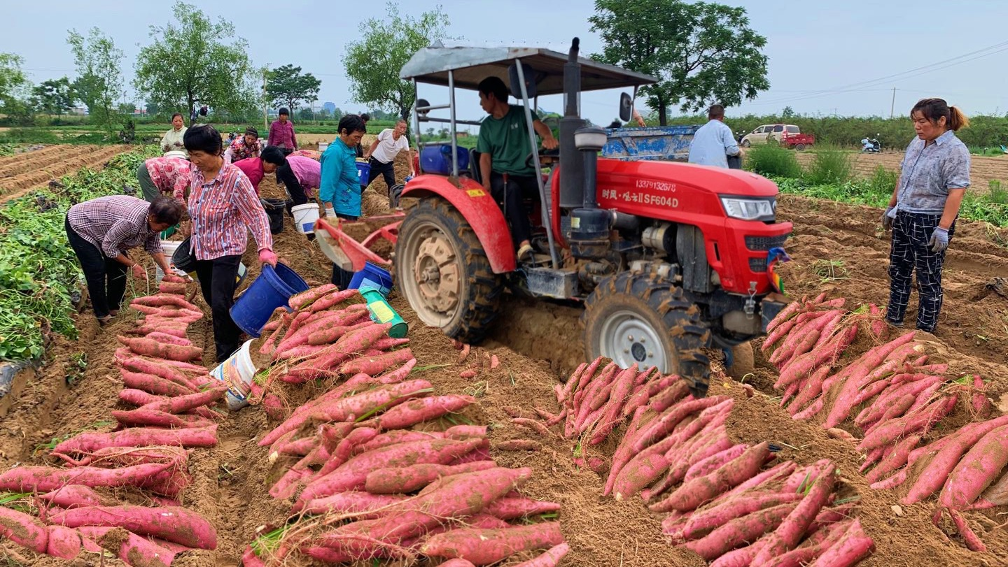 违规行为盘点 | 电商直播间被打压？可能踩中了这些坑
