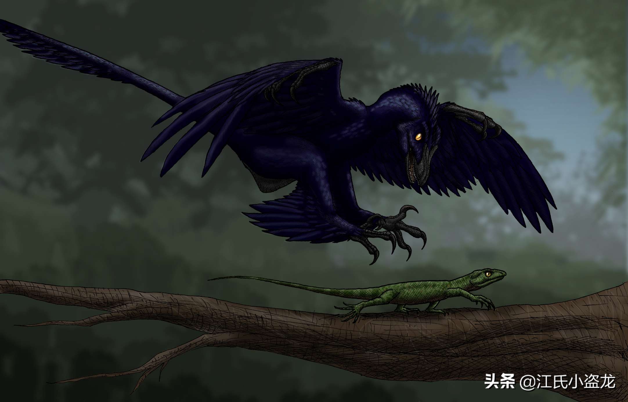 來自中國的羽毛恐龍是這麽換羽毛的