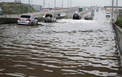 王思聪捐500万，欠债罗永浩也捐100万！但他们更感人、更催泪震撼