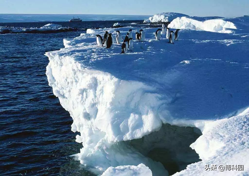 不到10年上升16℃，北极海冰的减少与气候突变有关！