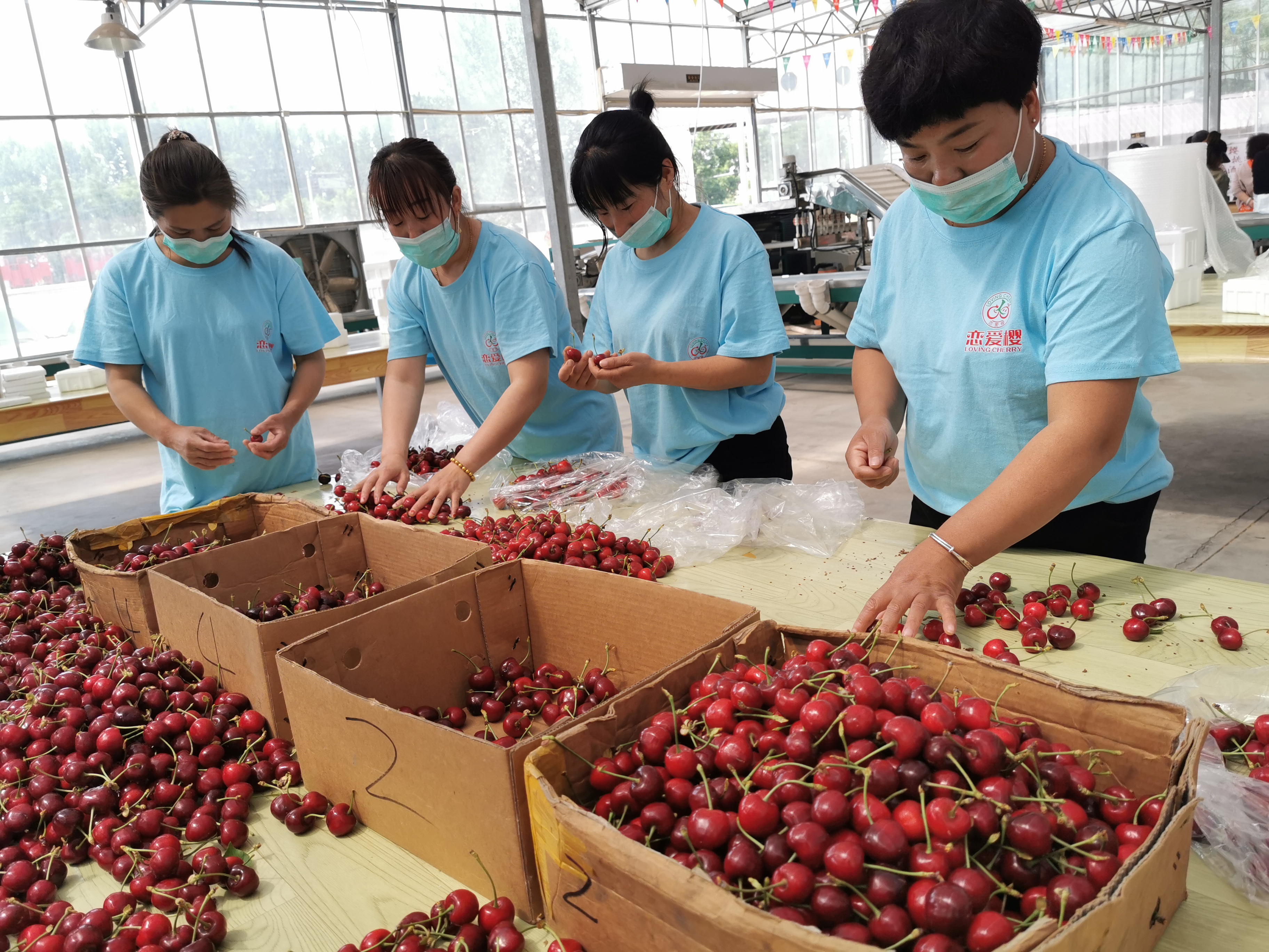 Car a unit of weight child it is good to compare homebred big cherry really? The entrance needs 20 days, car a unit of weight child add antiseptic? 