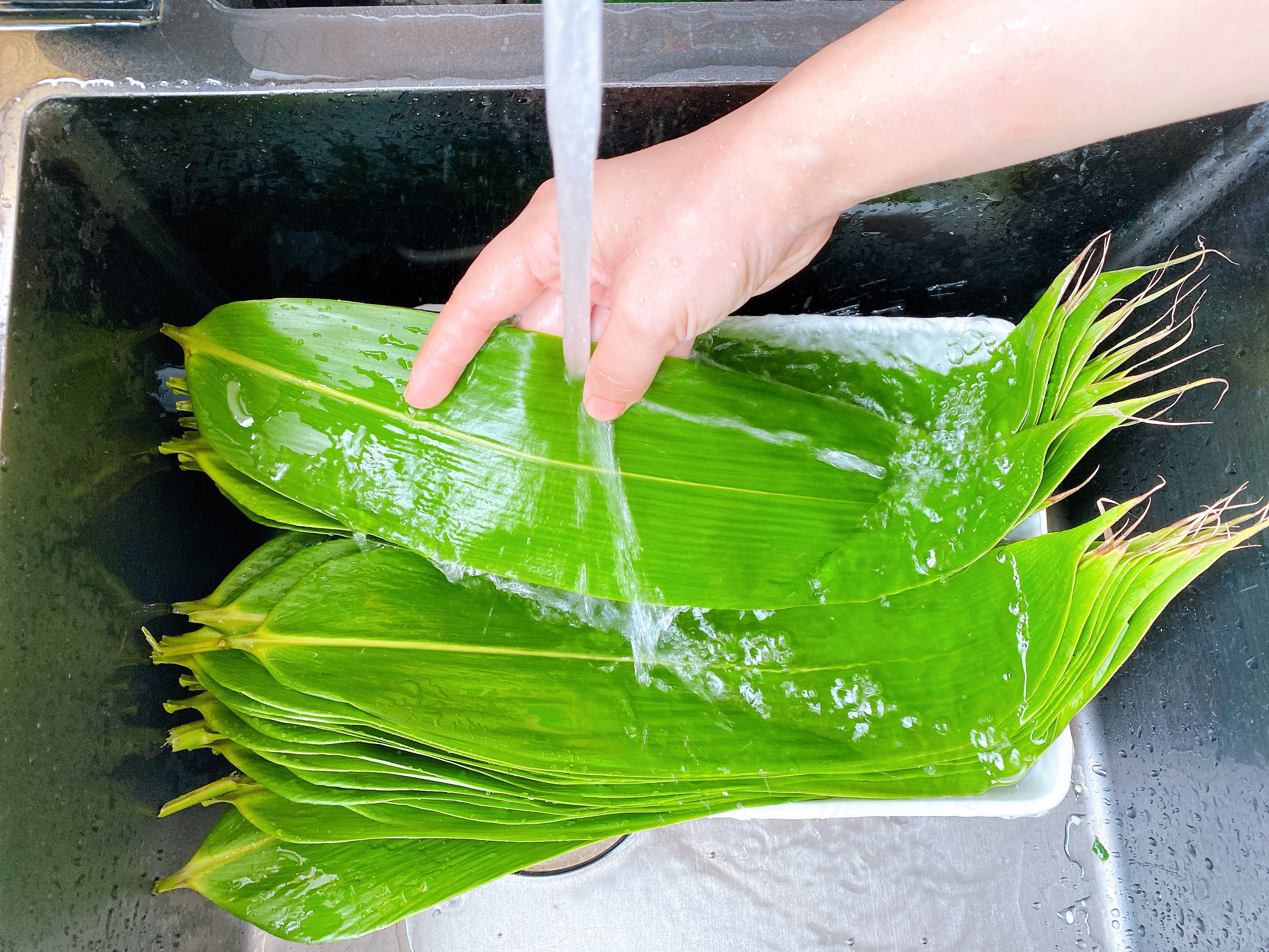 過端午就買不到新鮮粽葉，教你這樣儲存，顏色翠綠一年四季都能用