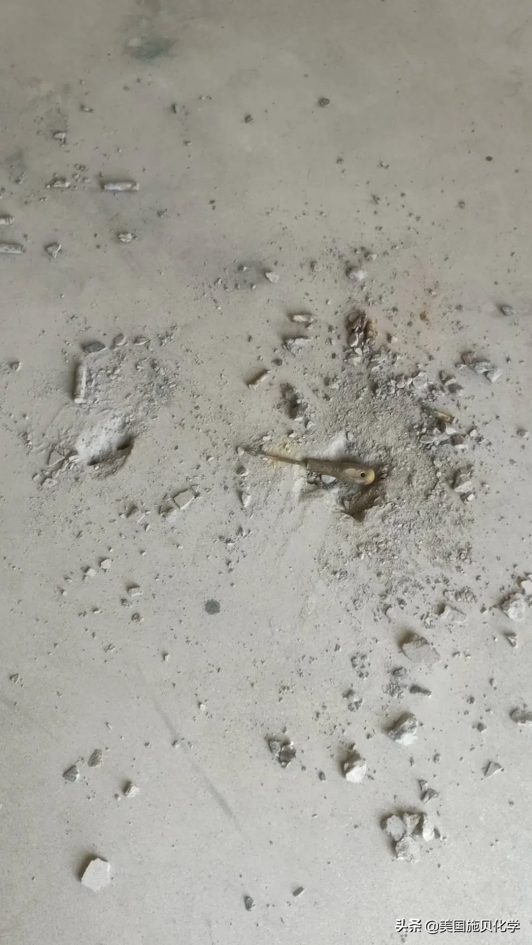 医药行业 || 聚焦博莱科信谊药业地面焕新服务