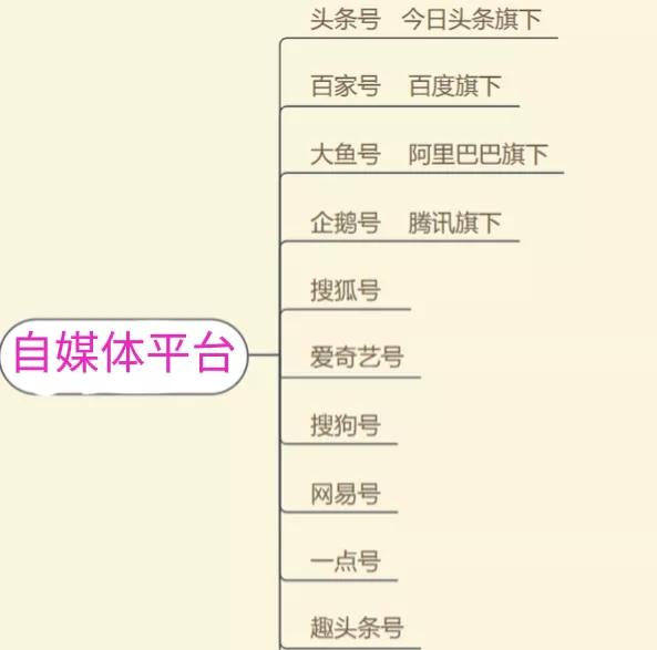 新手快速掌握自媒体