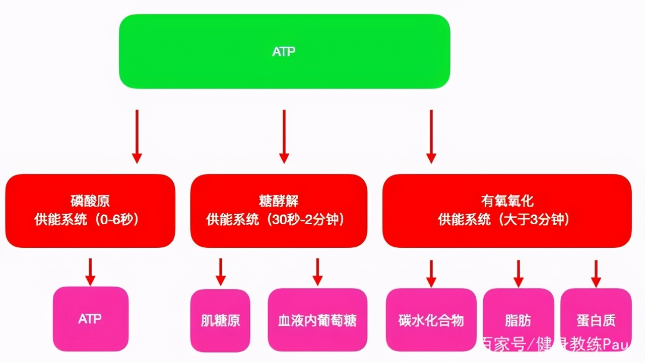 有氧和无氧运动有哪些项目（无氧运动有哪些项目）