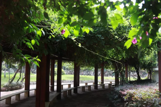 “乘风破浪”的武侯实验，让每一颗优质的种子，骄傲起来