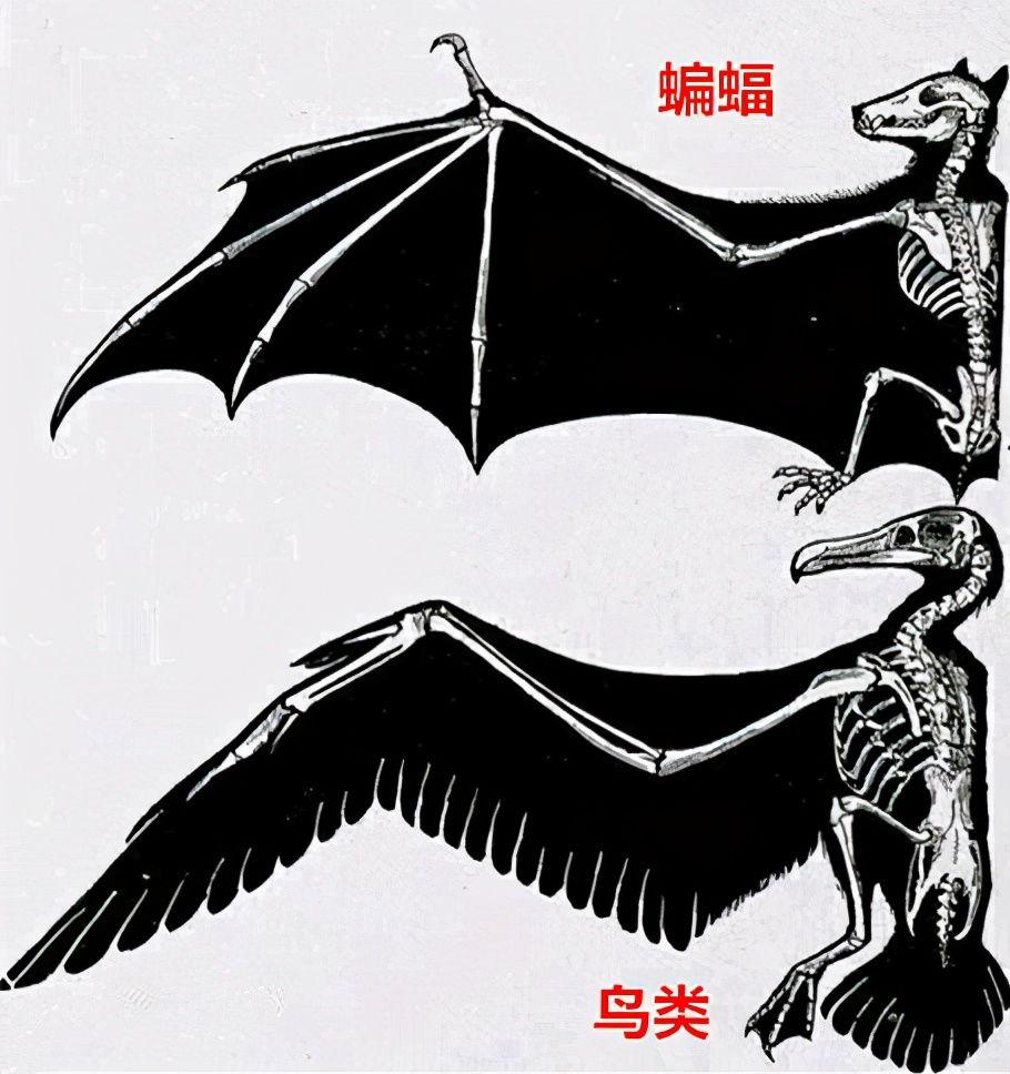分子的世界是變化多端的，微小的變化就能改變分子的結(jié)構(gòu)