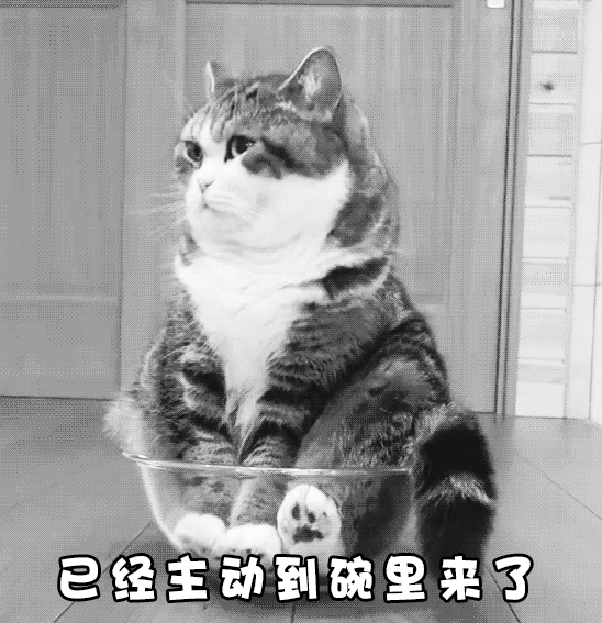 为年货节选品张罗了个超级派对！抖音电商的进击