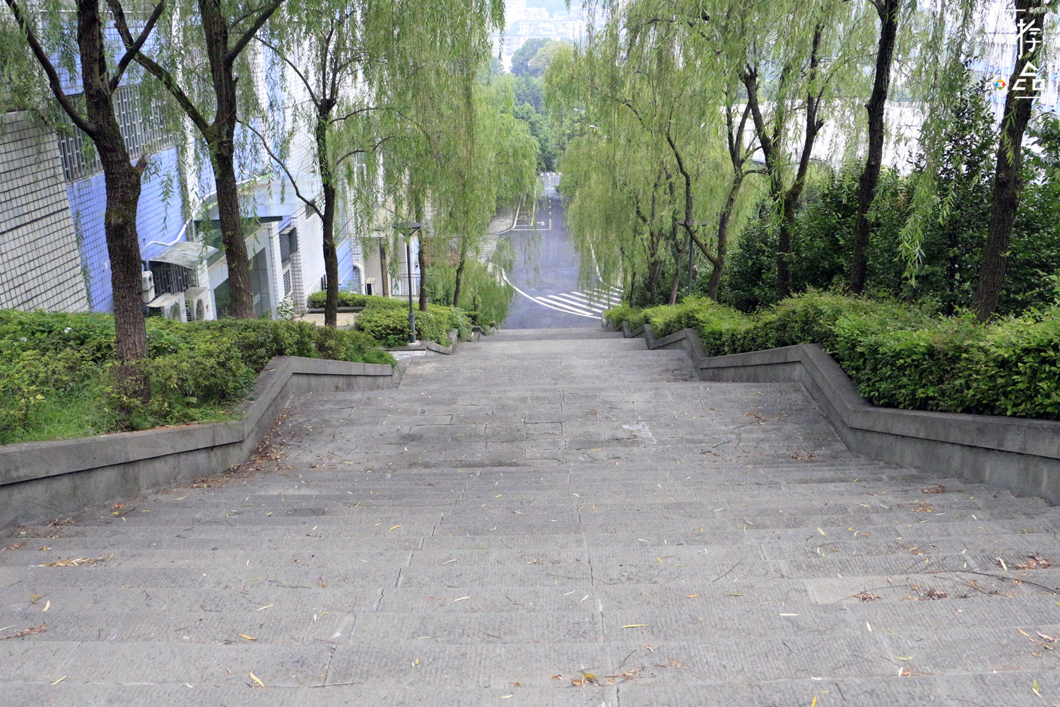 重庆人每天的交通工具，2元一次的电梯，不是景点游客却络绎不绝