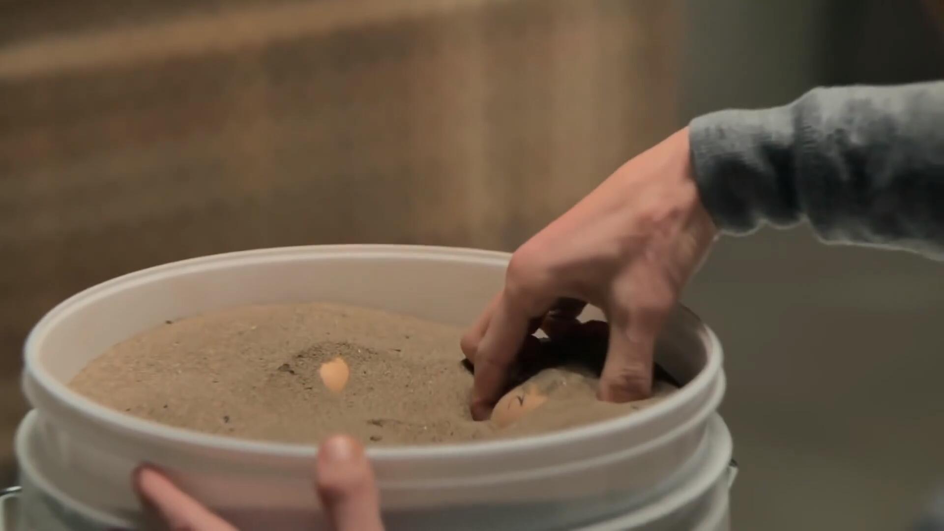 苹果历年新春短片回顾，告别了山城重庆，风格也从现实变为魔幻