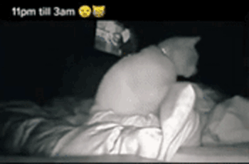 女孩睡著後被貓打了4個小時，但小貓咪可能沒什麽壞心思