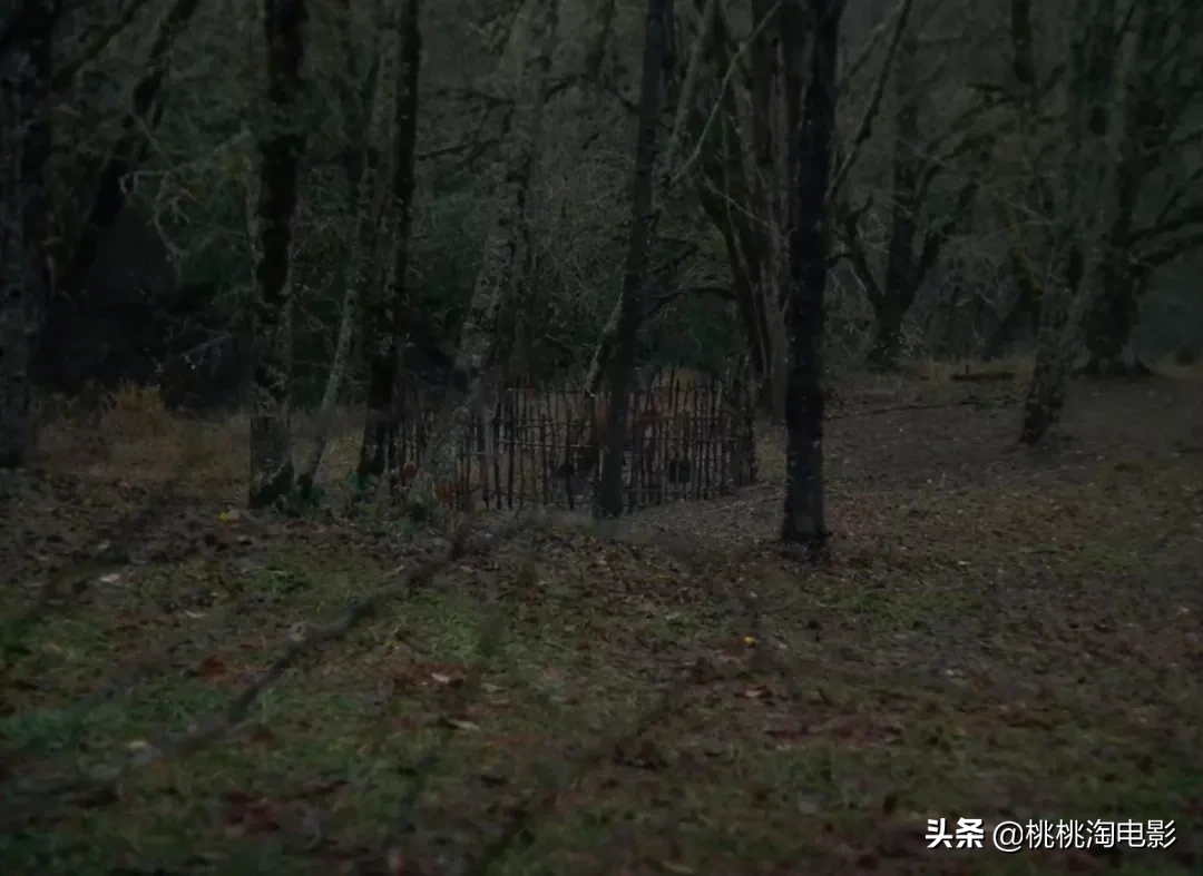今年最爱的片子来了,这才是电影啊