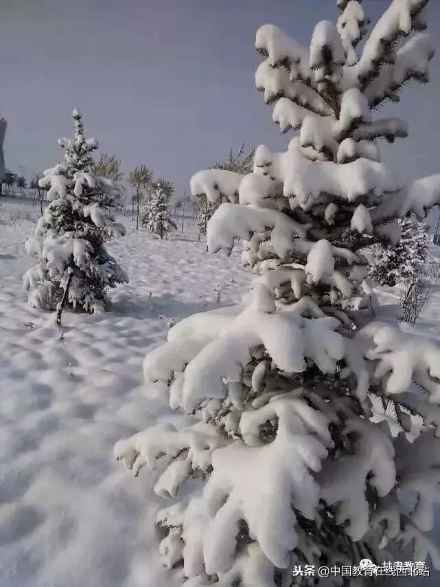 甘肃初雪|甘肃18所高校初学雪景大PK,快来看看有你的母校没?