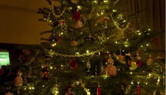 世界顶级亿万富翁的凡尔赛圣诞节！5000万仅装饰圣诞树