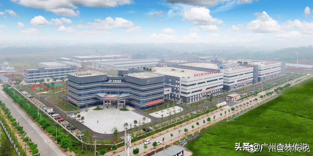 2019年中国医药工业百强系列榜单发布，华森制药上榜