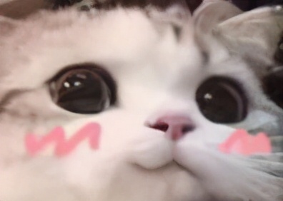 合肥面包店装修 温暖的日系面包店 在暖调里感受奶油面包的香味