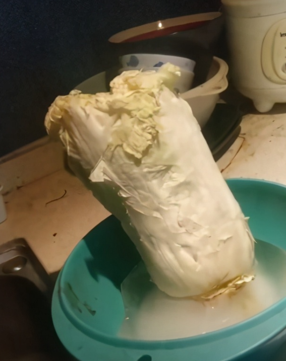 草根歌手阿宝近况落魄！厨房杂物乱堆霉斑横生