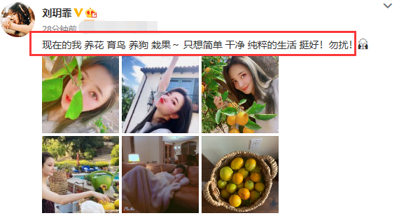 张檬为洗白自己，揭别人的伤疤被网友骂惨了，