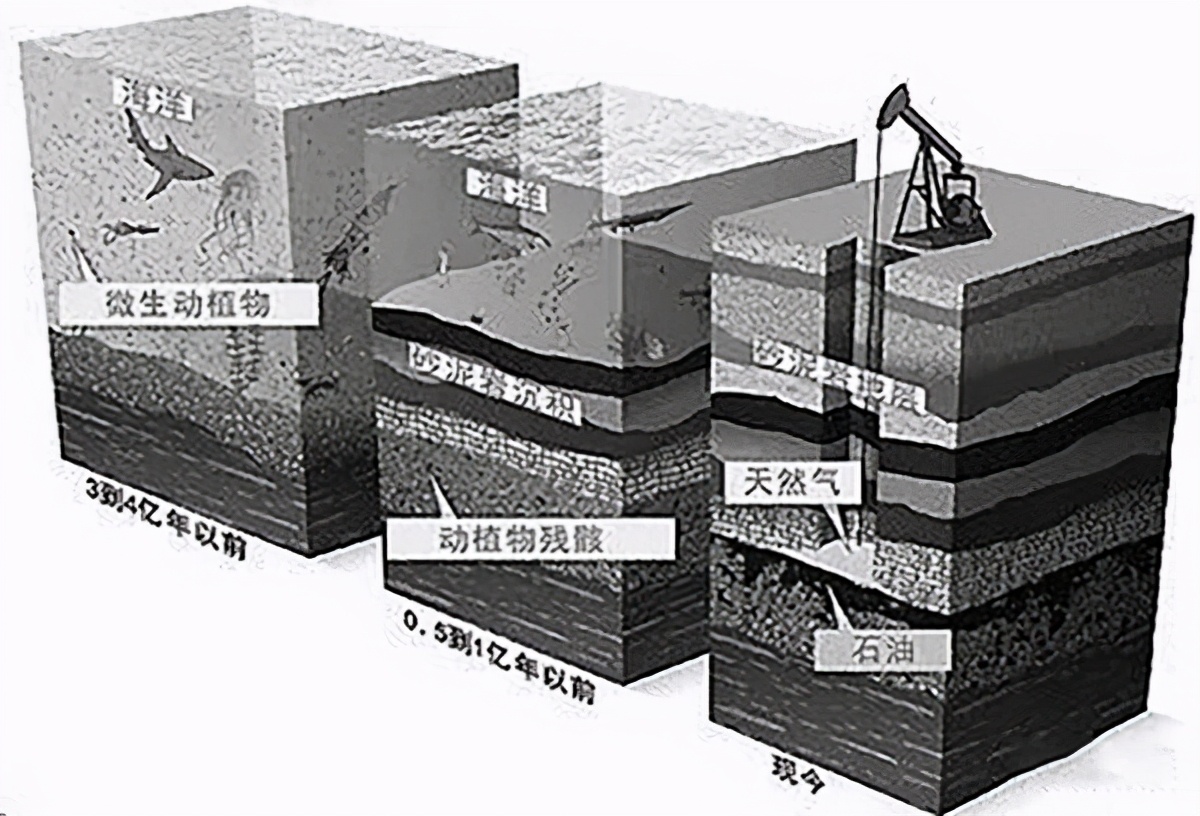 石油枯竭是騙局？地球碳儲量有1.5億億噸，哪來這么多生物尸體