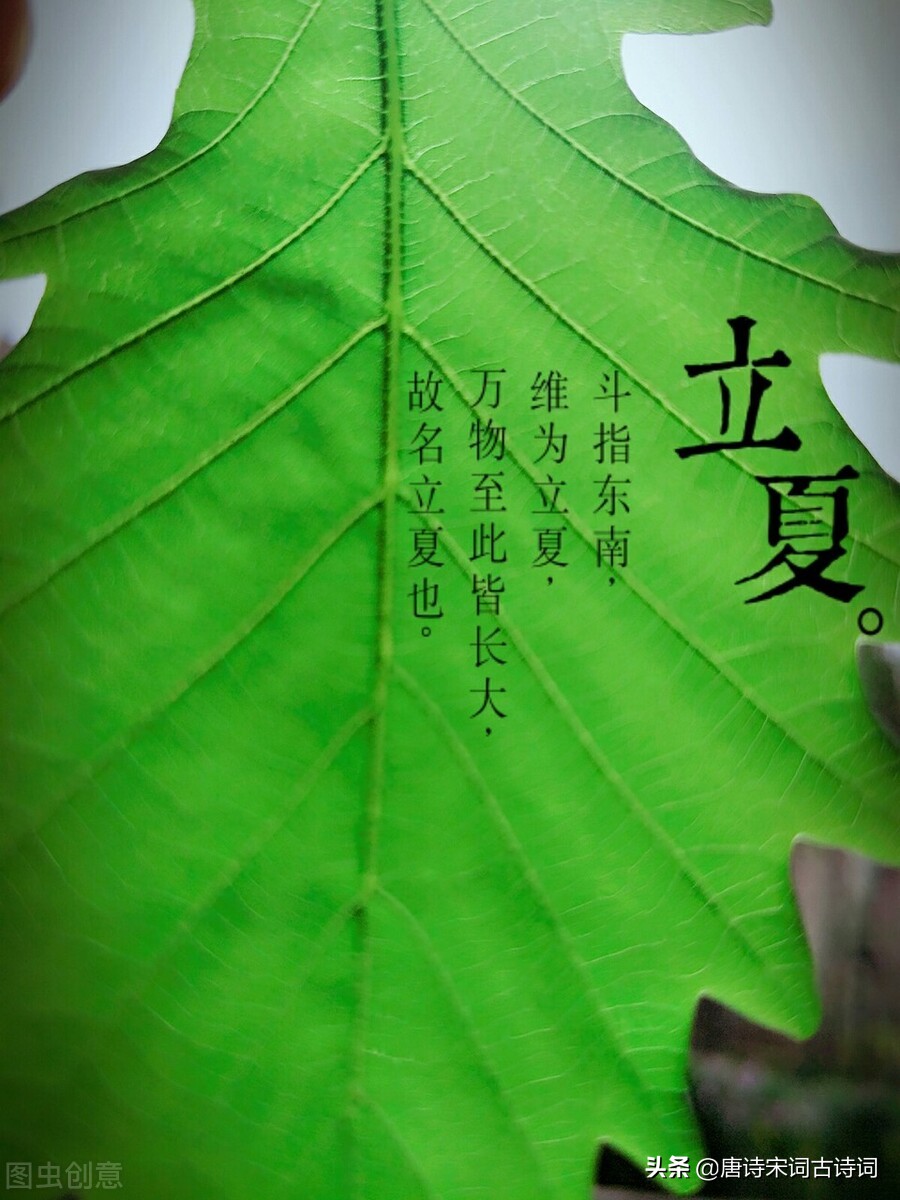 立夏节气，赏析宋代赵友直的《立夏》-第1张图片-非凡网