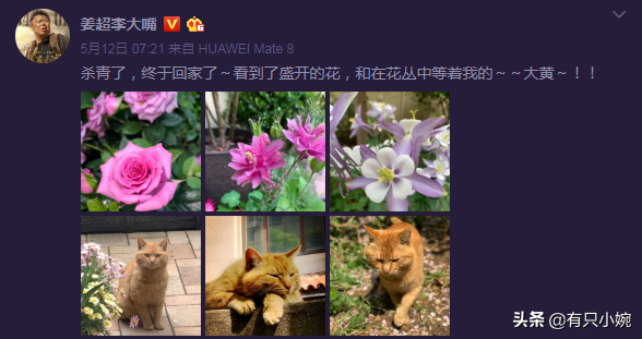 《云南谷虫》刚杀青，《昆仑神宫》已提上日程