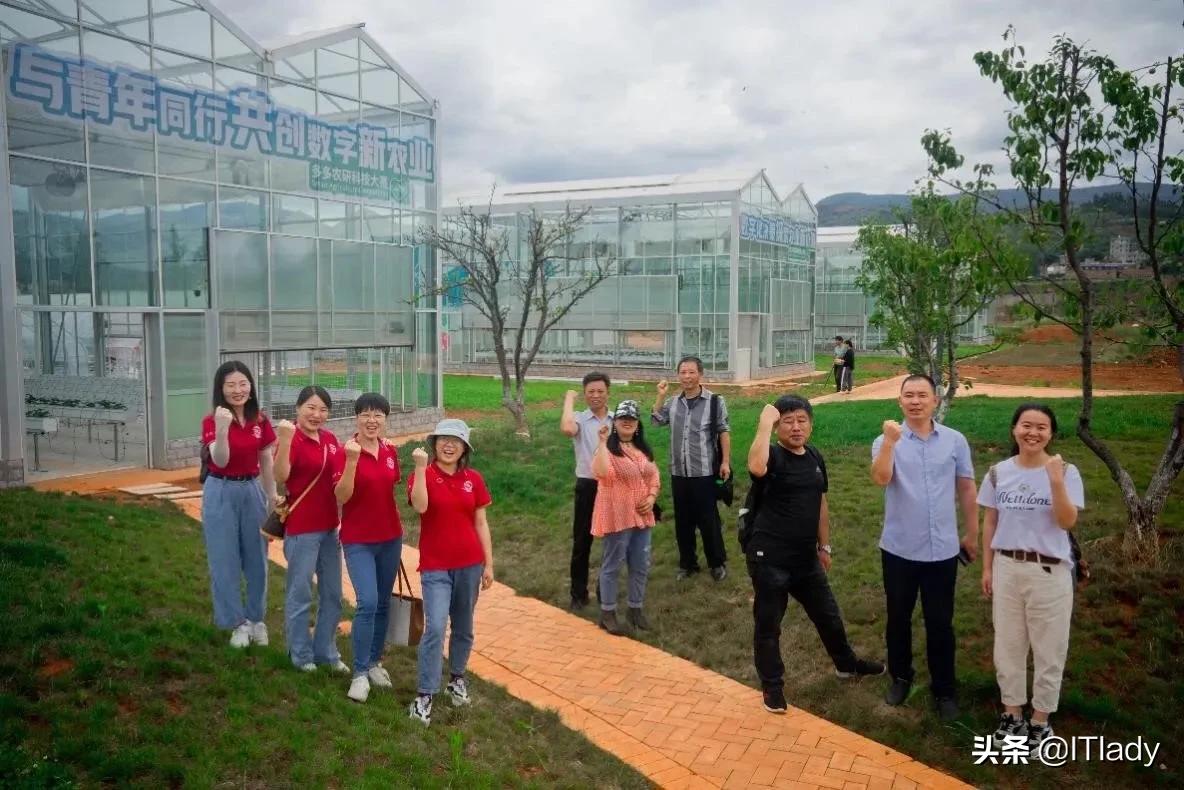 拼多多“百亿农研专项”，中国化智慧农业的分野与新局